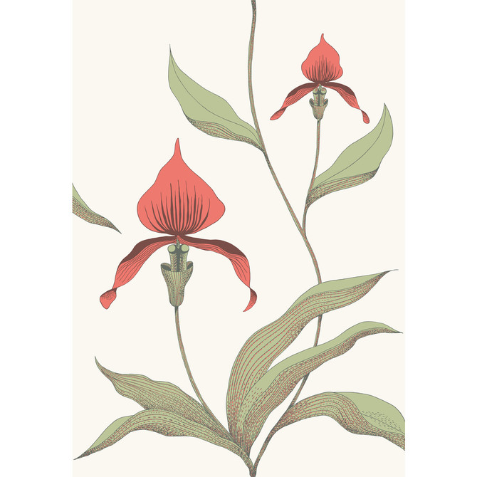 Cole & Son Wallcovering Orchid Red/White CONTEMPORARY RESTYLED PAPER - 100% United Kingdom Horizontal: 21 and Vertical: 30 21 - My Fabric Connection -