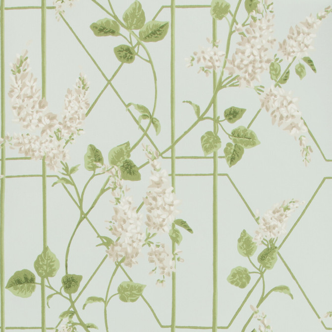 Cole & Son Wallcovering Wisteria Stone/Olive/D Egg COLE & SON BOTANICAL BOTANICA PAPER - 100% United Kingdom - Horizontal: 20.5 and Vertical: 20.5 20.5 - My Fabric Connection -