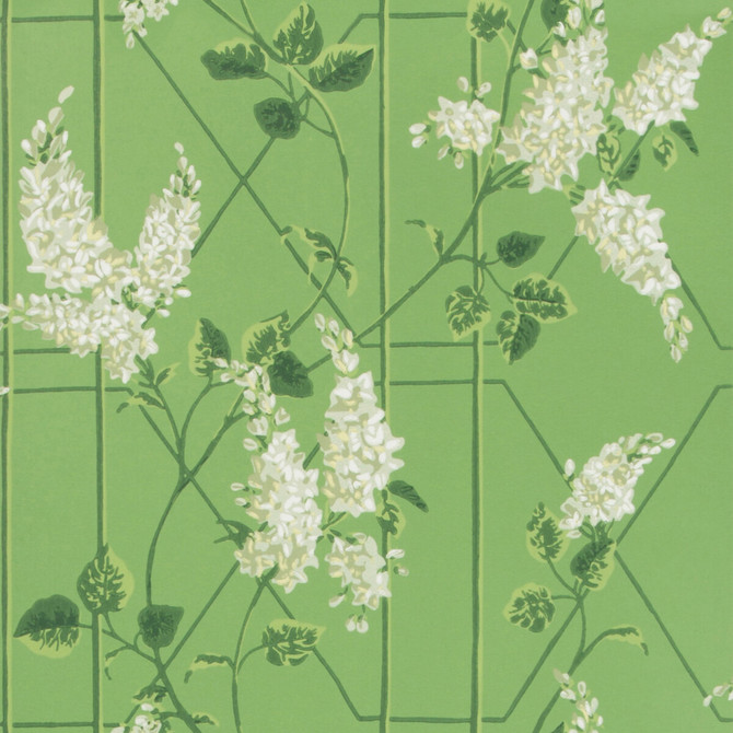 Cole & Son Wallcovering Wisteria Sage/Leaf Green COLE & SON BOTANICAL BOTANICA PAPER - 100% United Kingdom - Horizontal: 20.5 and Vertical: 20.5 20.5 - My Fabric Connection -