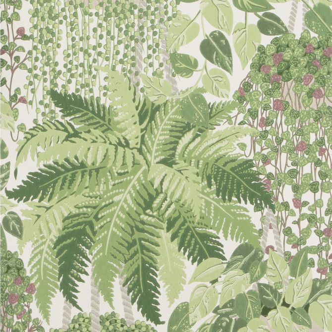 Cole & Son Wallcovering Fern Leaf Green And Olive COLE & SON BOTANICAL BOTANICA PAPER - 100% United Kingdom Horizontal: and Vertical: 25.2 20.5 - My Fabric Connection -