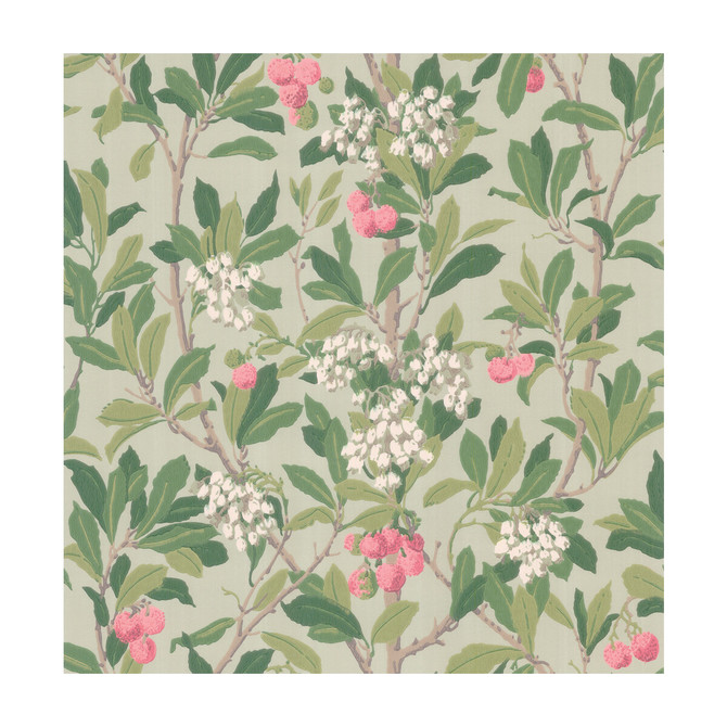 Cole & Son Wallcovering Strawberry Tree Pink & Duck Egg COLE & SON ARCHIVE ANTHOLOGY PAPER - 100% United Kingdom Horizontal: and Vertical: 21.1 20.5 - My Fabric Connection -