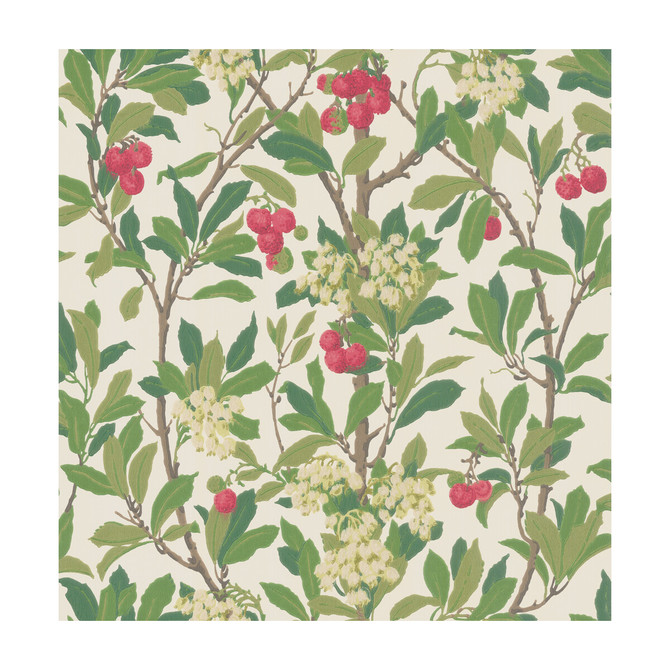 Cole & Son Wallcovering Strawberry Tree Scarlet & Ivory COLE & SON ARCHIVE ANTHOLOGY PAPER - 100% United Kingdom Horizontal: and Vertical: 21.1 20.5 - My Fabric Connection -