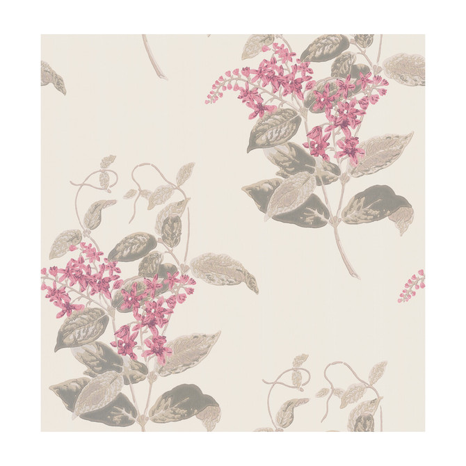 Cole & Son Wallcovering Madras Violet Pink COLE & SON ARCHIVE ANTHOLOGY PAPER - 100% United Kingdom Horizontal: and Vertical: 21 20.5 - My Fabric Connection -