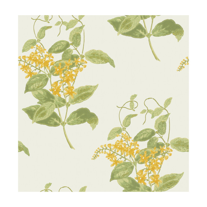 Cole & Son Wallcovering Madras Violet Yellow Wallcovering PAPER - 100% United Kingdom </p><p>Repeat: H: , V: 21 20.5 - My Fabric Connection -