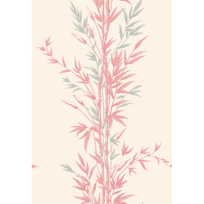 Cole & Son Wallcovering Bamboo Pink
