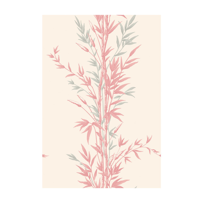 Cole & Son Wallcovering Bamboo Pink Wallcovering PAPER - 100% United Kingdom </p><p>Repeat: H: , V: 30 20.5 - My Fabric Connection -