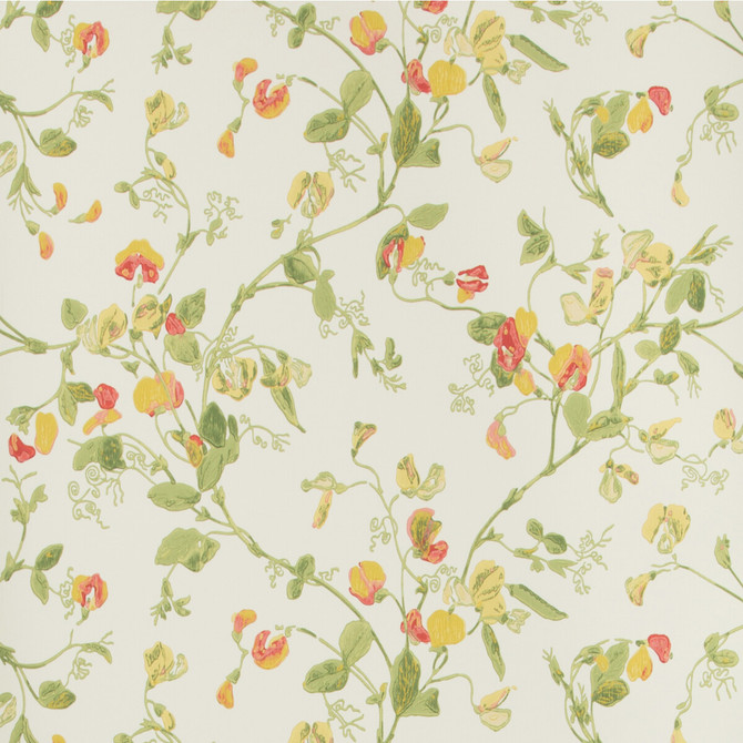 Cole & Son Wallcovering Sweet Pea Pink & Yellow COLE & SON ARCHIVE ANTHOLOGY PAPER - 100% United Kingdom Horizontal: and Vertical: 15 20.5 - My Fabric Connection -