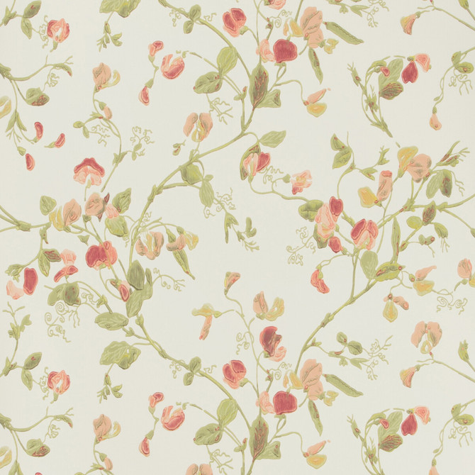 Cole & Son Wallcovering Sweet Pea Pink COLE & SON ARCHIVE ANTHOLOGY PAPER - 100% United Kingdom Horizontal: and Vertical: 15 20.5 - My Fabric Connection -