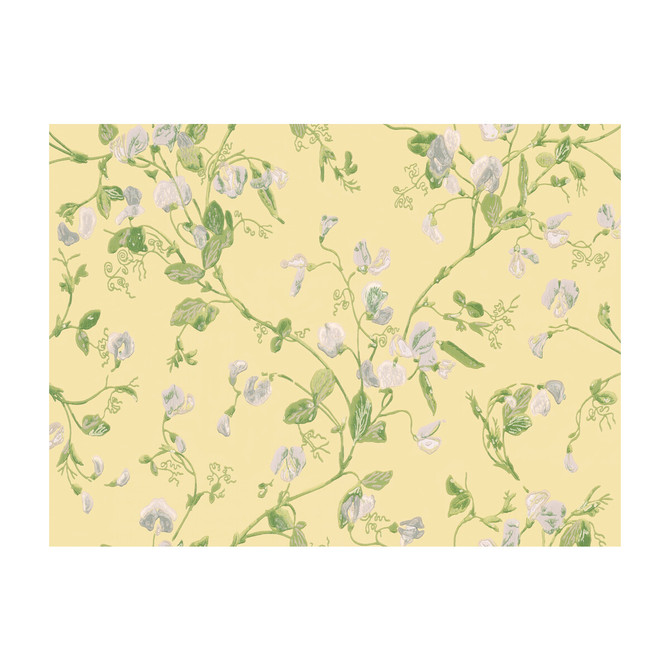 Cole & Son Wallcovering Sweet Pea Yellow COLE & SON ARCHIVE ANTHOLOGY PAPER - 100% United Kingdom Horizontal: and Vertical: 15 20.5 - My Fabric Connection -
