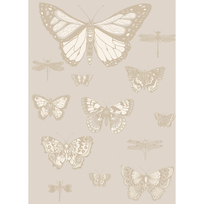Cole & Son Wallcovering Butterflies & Dragonflies Grey Wallcovering PAPER - 100% United Kingdom </p><p>Repeat: H: , V: 28.3 20.5 - My Fabric Connection -