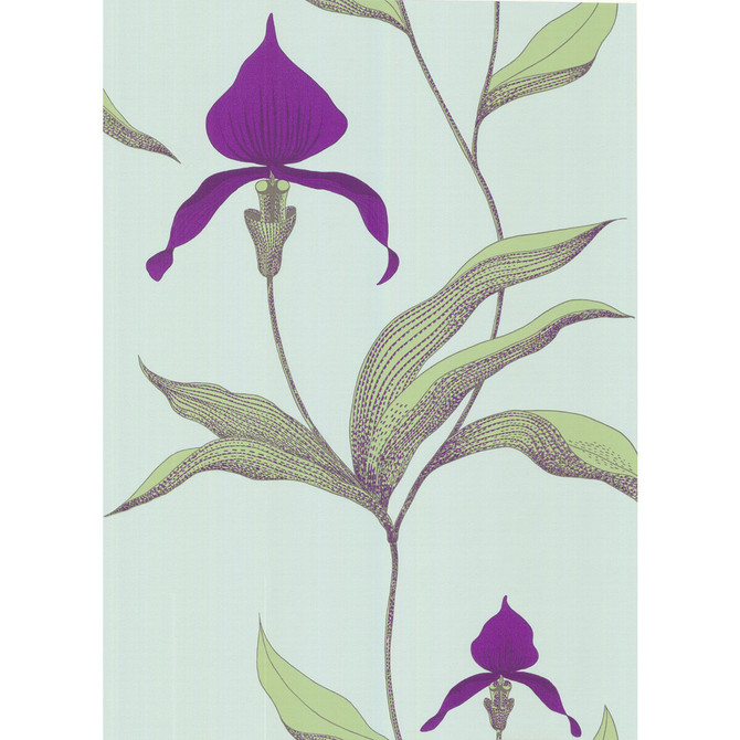 Cole & Son Wallcovering Orchid Turquoi COLE & SON NEW CONTEMPORARY PAPER - 100% United Kingdom Horizontal: 0 and Vertical: 28.5 20.5 - My Fabric Connection -