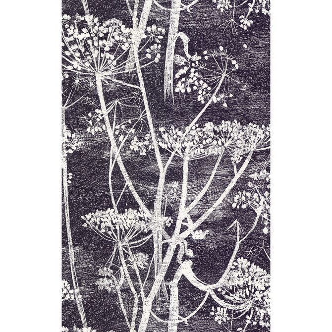 Cole & Son Wallcovering Cow Parsley White/Blk COLE & SON NEW CONTEMPORARY PAPER - 100% United Kingdom - Horizontal: 21 and Vertical: 30 21 - My Fabric Connection -
