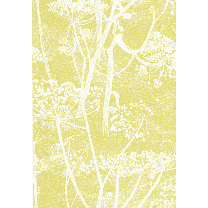 Cole & Son Wallcovering Cow Parsley White/Y COLE & SON NEW CONTEMPORARY PAPER - 100% United Kingdom - Horizontal: 21 and Vertical: 30 21 - My Fabric Connection -
