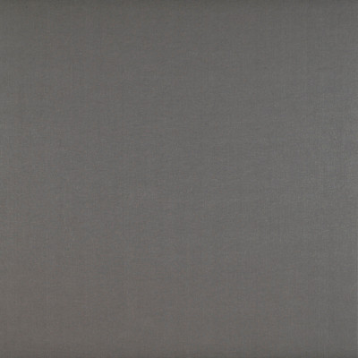 Gaston Y Daniela Fabric Recoletos Vison