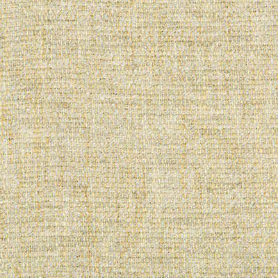 Kravet Couture Fabric Rancho Mineral