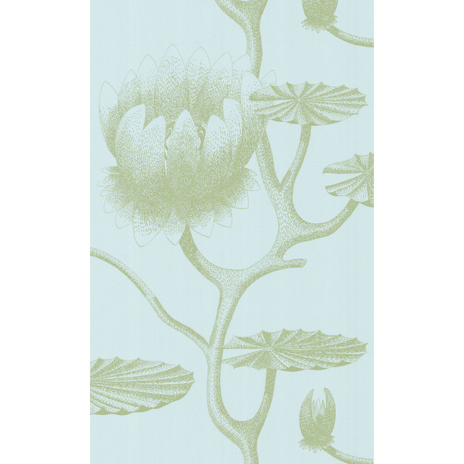 Cole & Son Wallcovering Lily Sage/Pale Blue COLE & SON NEW CONTEMPORARY II PAPER - 100% United Kingdom - Horizontal: - and Vertical: 30 20.5 - My Fabric Connection -