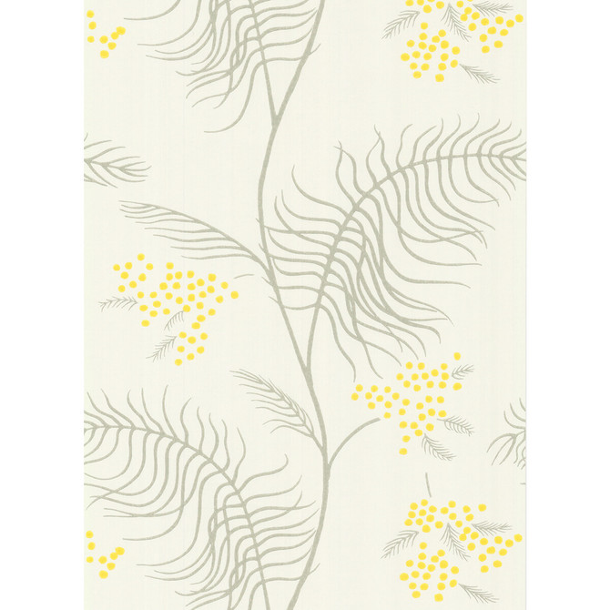 Cole & Son Wallcovering Mimosa White COLE & SON NEW CONTEMPORARY II PAPER - 100% United Kingdom - Horizontal: - and Vertical: 24 20.5 - My Fabric Connection -