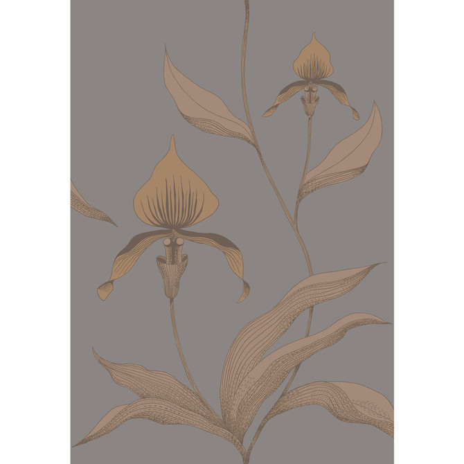 Cole & Son Wallcovering Orchid Bronze/Slate CONTEMPORARY RESTYLED PAPER - 100% United Kingdom - Horizontal: 21 and Vertical: 30 21 - My Fabric Connection -