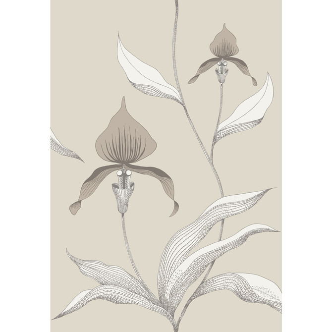 Cole & Son Wallcovering Orchid Linen/White CONTEMPORARY RESTYLED PAPER - 100% United Kingdom - Horizontal: 21 and Vertical: 30 21 - My Fabric Connection -