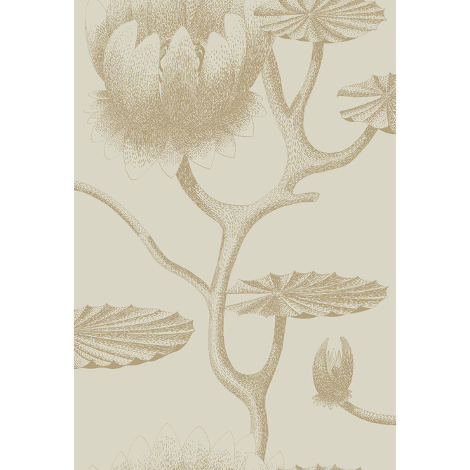 Cole & Son Wallcovering Lily Linen/Gold CONTEMPORARY RESTYLED PAPER - 100% United Kingdom Horizontal: 20.5 and Vertical: 30 20.5 - My Fabric Connection -
