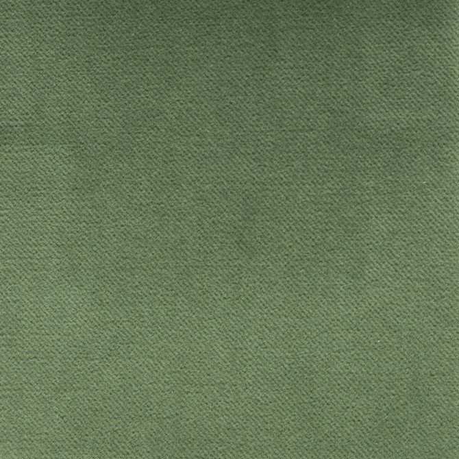 Gaston Y Daniela Fabric Venecia Verde BASICS COTTON - 86%;MODACRYLIC - 14% Czech Republic HEAVY Horizontal: 0 and Vertical: 0 55 - My Fabric Connection -