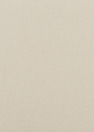 Baker Lifestyle Fabric Carnival Plain Linen