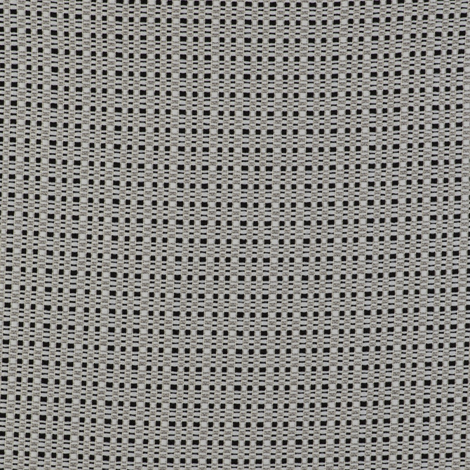 Gaston Y Daniela Fabric Out Blanco/Negro GASTON LIBRERIA POLYOLEFIN FR - 100% Italy HEAVY Horizontal: 0 and Vertical: 0 55 - My Fabric Connection -