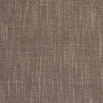 Gaston Y Daniela Fabric Enea Tostado