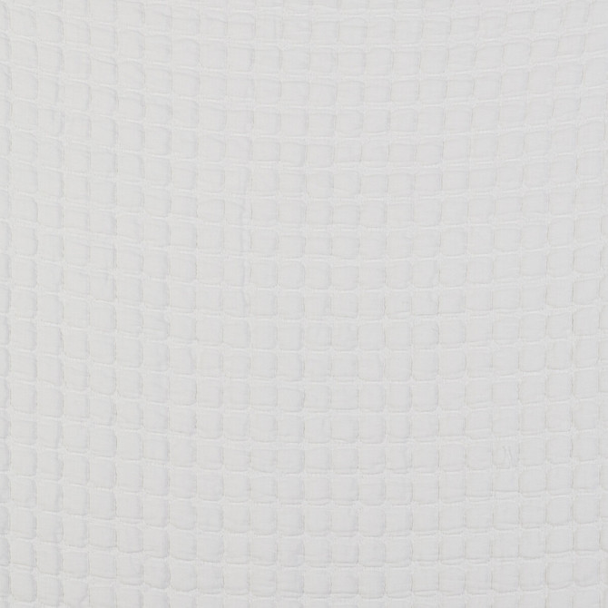 Gaston Y Daniela Fabric Morera Blanco GASTON LIBRERIA COTTON - 100% Italy Horizontal: 0.55 and Vertical: 0.51 110 - My Fabric Connection -