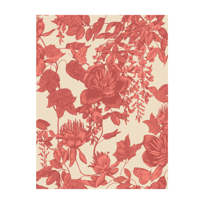 Cole & Son Wallcovering Tivoli Coral PAPER - 100% United Kingdom Horizontal: and Vertical: 27.5 21 - My Fabric Connection -