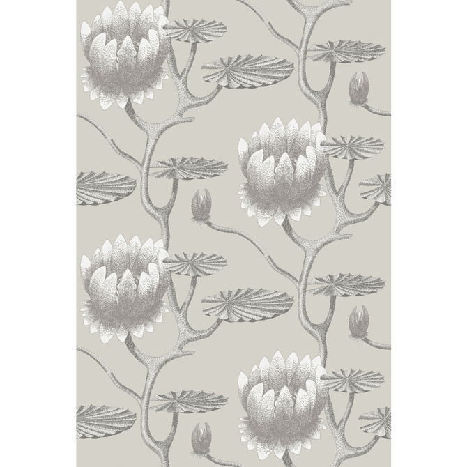 Cole & Son Wallcovering Summer Lily Taupe/White Wallcovering PAPER - 100% United Kingdom </p><p>Repeat: H: 27, V: 19.75 27 - My Fabric Connection -