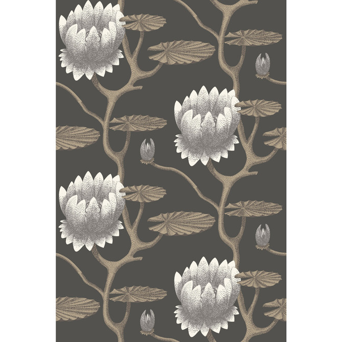 Cole & Son Wallcovering Summer Lily Blk/Wht/Gold Wallcovering PAPER - 100% United Kingdom </p><p>Repeat: H: 27, V: 19.75 27 - My Fabric Connection -