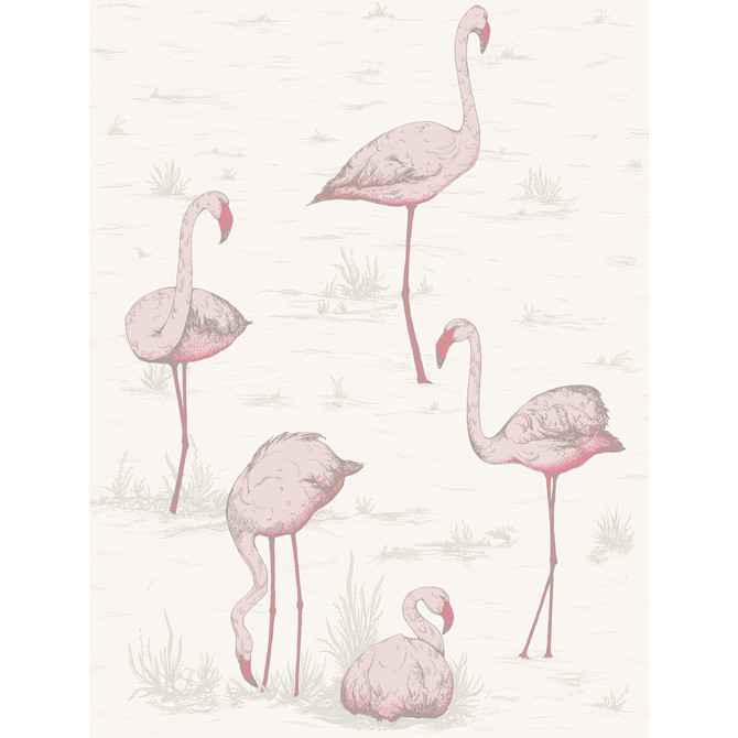 Cole & Son Wallcovering Flamingos Pink/White CONTEMPORARY RESTYLED PAPER - 100% United Kingdom Horizontal: 21 and Vertical: 27.5 21 - My Fabric Connection -