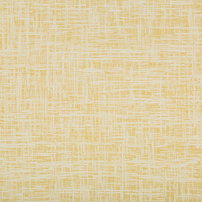 Kravet Contract Fabric Dejo Limonata