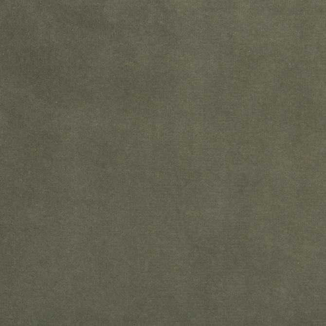 Kravet Design Fabric Kravet Design 35366-11 Fabric COTTON - 100% Netherlands HEAVY </p><p>Repeat: H: 0, V: 0 55 - My Fabric Connection -