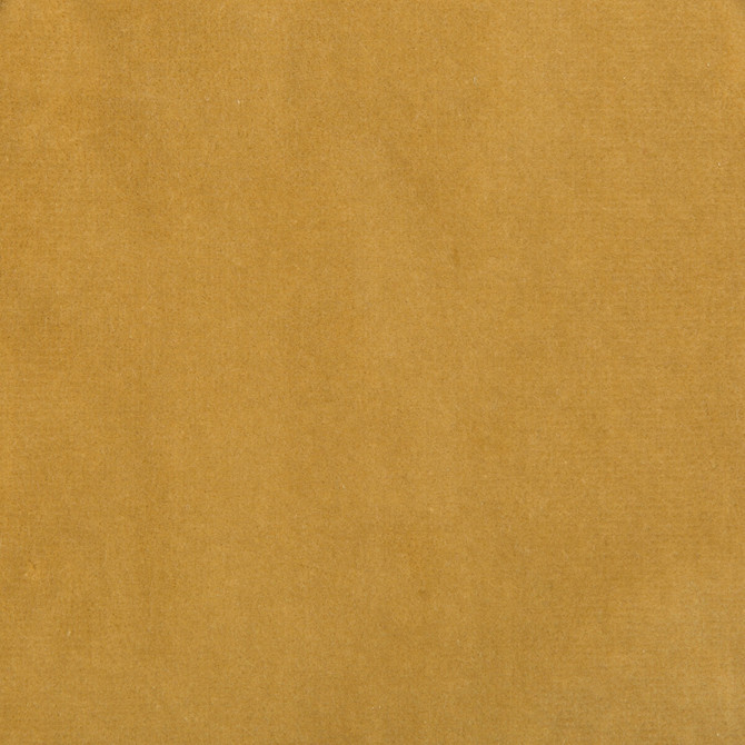 Kravet Design Fabric 35366-14 - COTTON - 100% Netherlands HEAVY Horizontal: 0 and Vertical: 0 55 - My Fabric Connection -