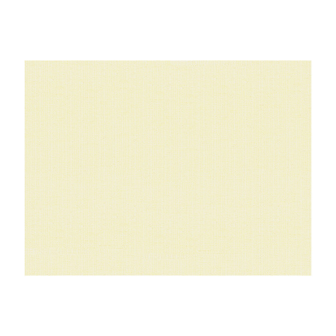 Lee Jofa Fabric Judd Snow JAMES HUNIFORD EXPRESS RAYON - 43%;MERCERIZED COTTON - 42%;COTTON - 15% United States HEAVY Horizontal: 1.25 and Vertical: 0.5 54.75 - My Fabric Connection -