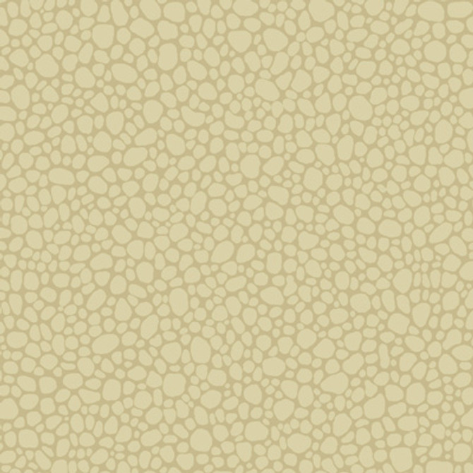 Cole & Son Wallcovering Pebble Latte