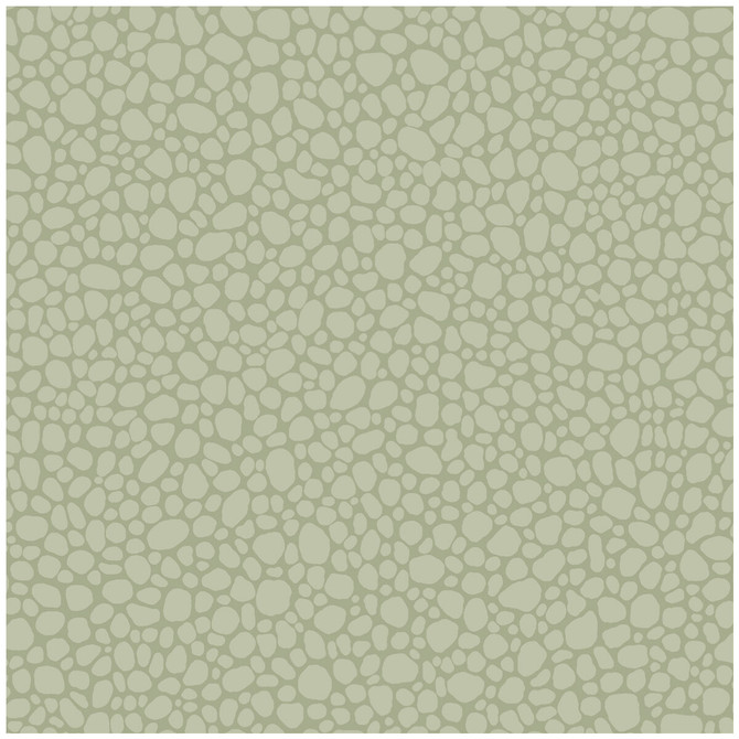 Cole & Son Wallcovering Pebble Sage COLE & SON LANDSCAPE PLAINS PAPER - 100% United Kingdom - Horizontal: - and Vertical: 5.1 20.5 - My Fabric Connection -