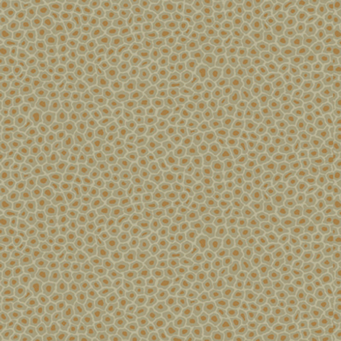 Cole & Son Wallcovering Senzo Spot Olive