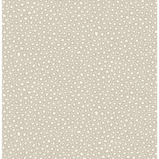 Cole & Son Wallcovering Senzo Spot Stone & White COLE & SON ARDMORE PAPER - 100% United Kingdom Horizontal: and Vertical: 10.4 20.5 - My Fabric Connection -