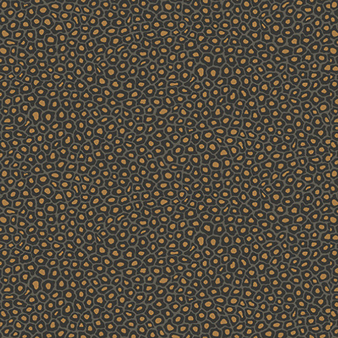 Cole & Son Wallcovering Senzo Spot Charcoal