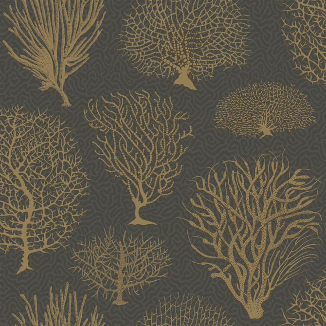 Cole & Son Wallcovering Seafern Black & Gold COLE & SON CURIO PAPER - 100% United Kingdom Horizontal: and Vertical: 20.5 20.5 - My Fabric Connection -