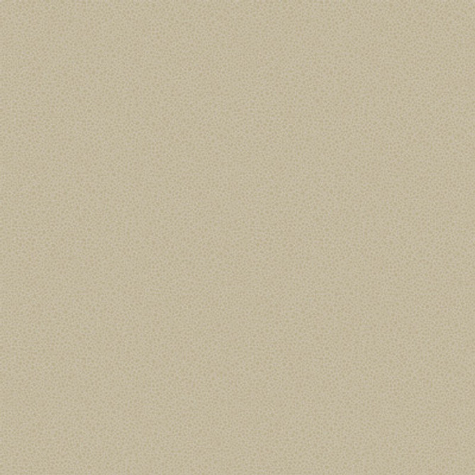 Cole & Son Wallcovering Goldstone Stone & Gilver