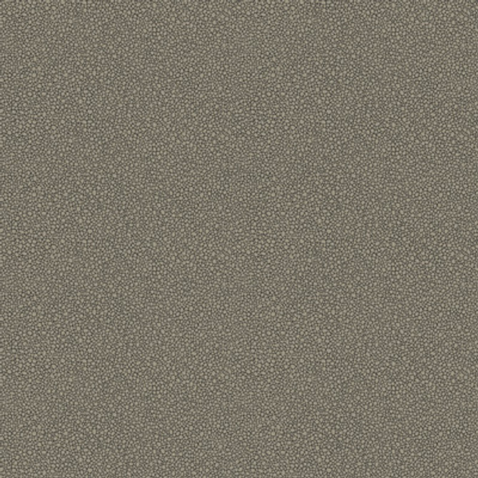 Cole & Son Wallcovering Goldstone Black & Silver