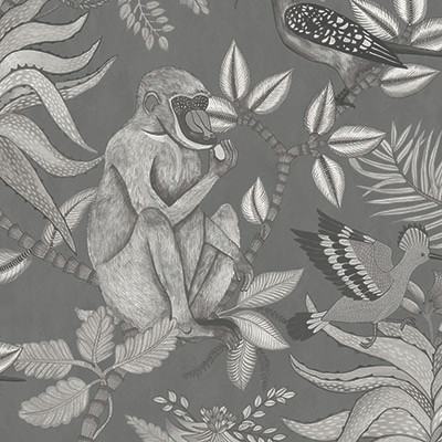 Cole & Son Wallcovering Savuti Charcoal