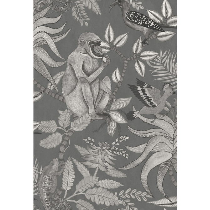 Cole & Son Wallcovering Savuti Charcoal COLE & SON ARDMORE PAPER - 100% United Kingdom Horizontal: 20.5 and Vertical: 30 20.5 - My Fabric Connection -