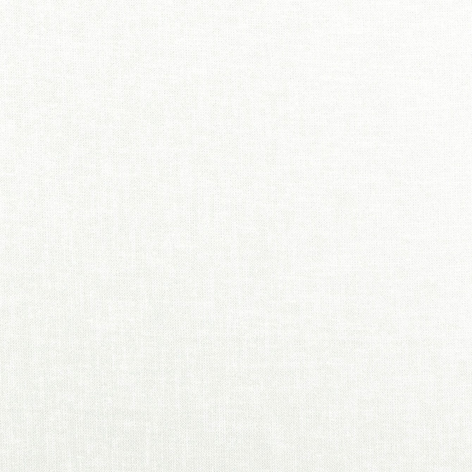 RM CoCo Fabric Chas Snow Hendrix 100% POLYESTER - Machine washable Horizontal: 0 and Vertical: 0 56 - My Fabric Connection -