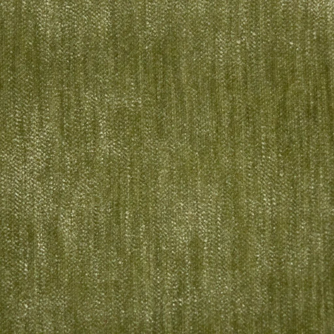 RM CoCo Fabric Maison Royale Celery Maison Royale Book 100% Polyester See Sample 0 Horizontal: 0 and Vertical: 0 54 - My Fabric Connection -