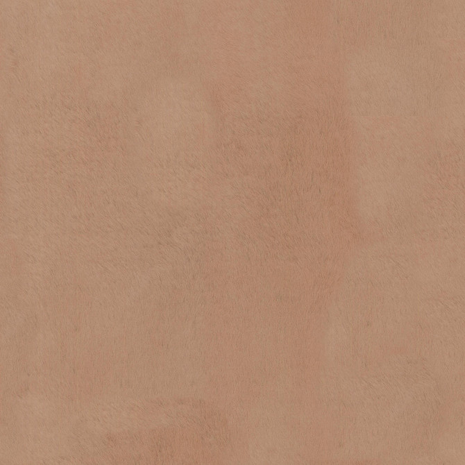 PKL Studio Fabric Furocious Mink 404772 - 100% POLYESTER China 30000 Horizontal: 0 and Vertical: 0 57 - My Fabric Connection -